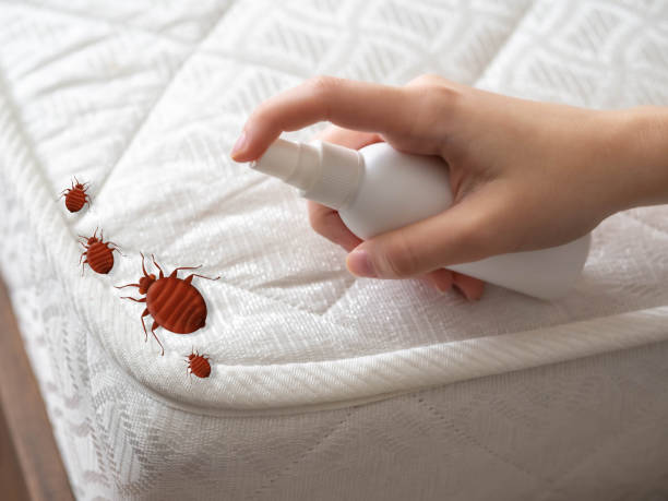 Best Pest Inspection Near Me  in Charlotte, NC