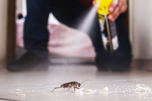 Best Termite Control Services  in Charlotte, NC