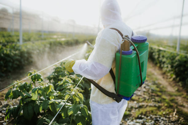 Best Ant Control Services  in Charlotte, NC